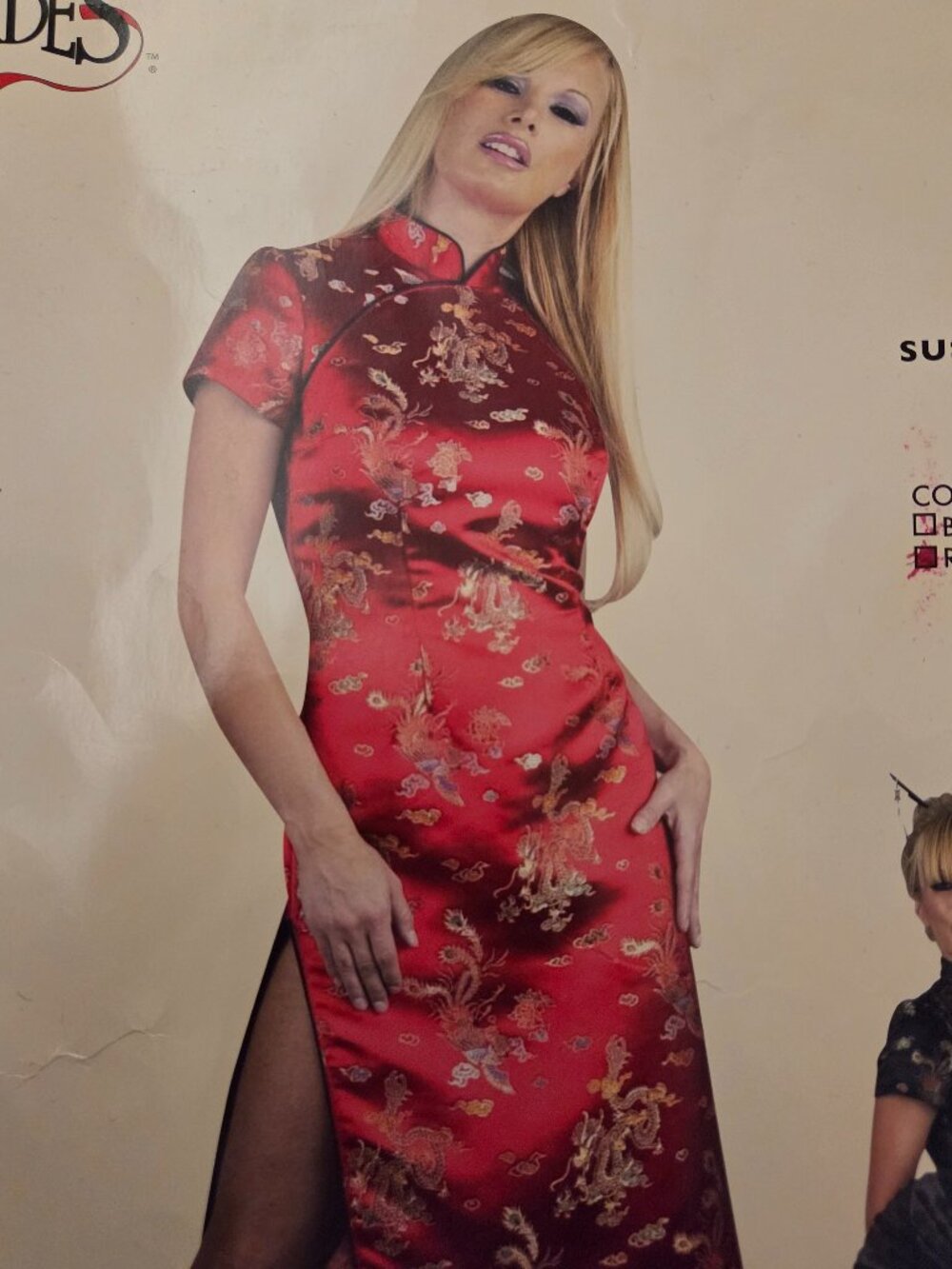 NWT Charades Susie Lee Satin Dress with Chinese Embroidery Halloween Costume